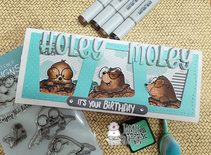 A Holey Moley Birthday!