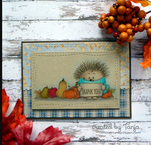 Hedgehog with Sign 2x3 Clear Stamp Set - Clearstamps - Clear Stamps - Cardmaking- Ideas- papercrafting- handmade - cards-  Papercrafts - Gerda Steiner Designs