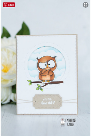 Owl Rather Be With You 4x6 Clear Stamp Set - Clearstamps - Clear Stamps - Cardmaking- Ideas- papercrafting- handmade - cards-  Papercrafts - Gerda Steiner Designs